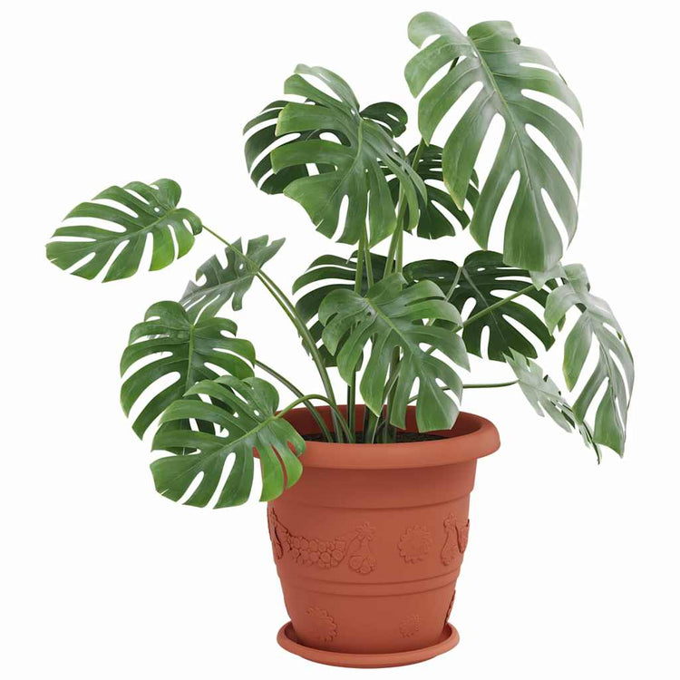 Vidaxl runde Blumenschalen 6 Stück ziegelrot ø 27 x 2,5 cm Kunststoff