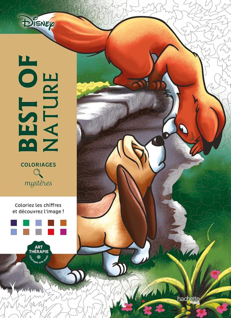 Hachette Heroes Coloriages Mystères Disney Best of Nature – Malbuch nach Zahlen für Erwachsene und Kinder – Hachette