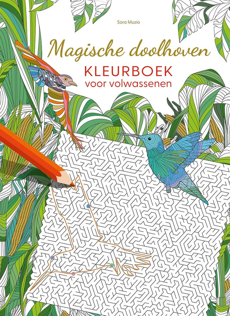 Malbuch „Deltas magische Labyrinthe“ für Erwachsene