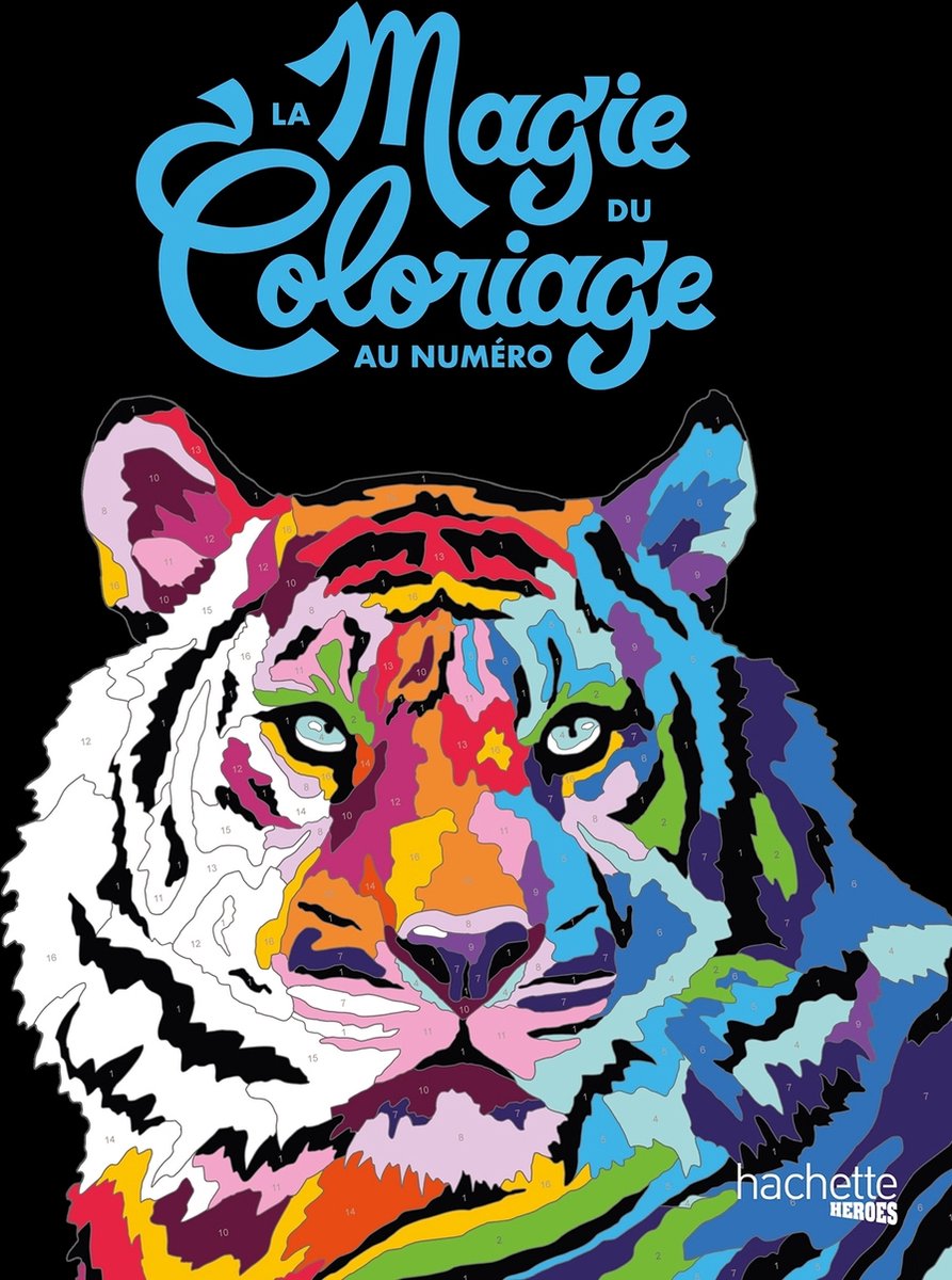 Hachette Heroes La Magic du Coloriage au Numéro – Malbuch zum Ausmalen nach Zahlen