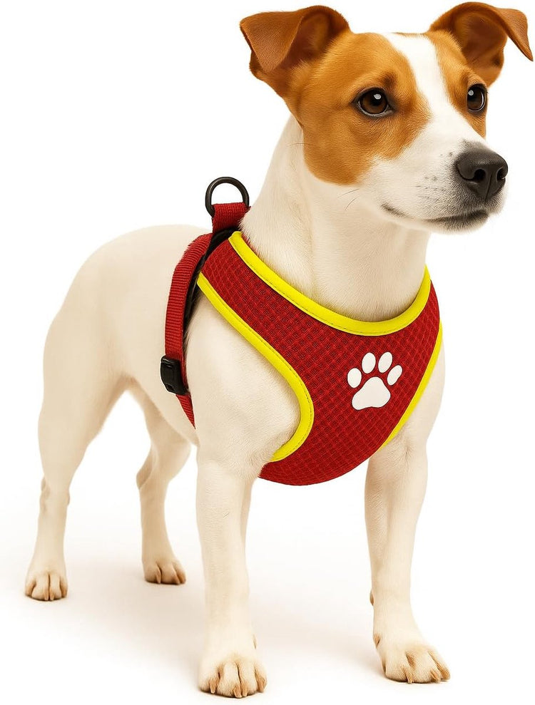 Flamingo-Hundegeschirr – Hundegeschirr – Hundegeschirr gegen Ziehen – Hundegeschirre – Hundegeschirr gegen Ziehen – Step Go Tasha – Rot – Größe S – A: 46 cm, B: 55–65 cm x 12 mm x 5 mm