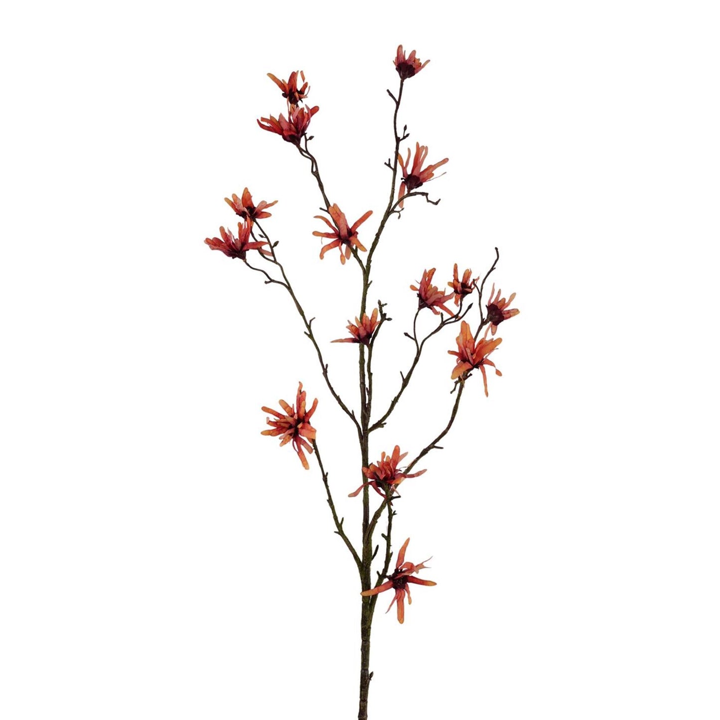 Roberts Collection Kunstblume Hamamelis orange 120cm