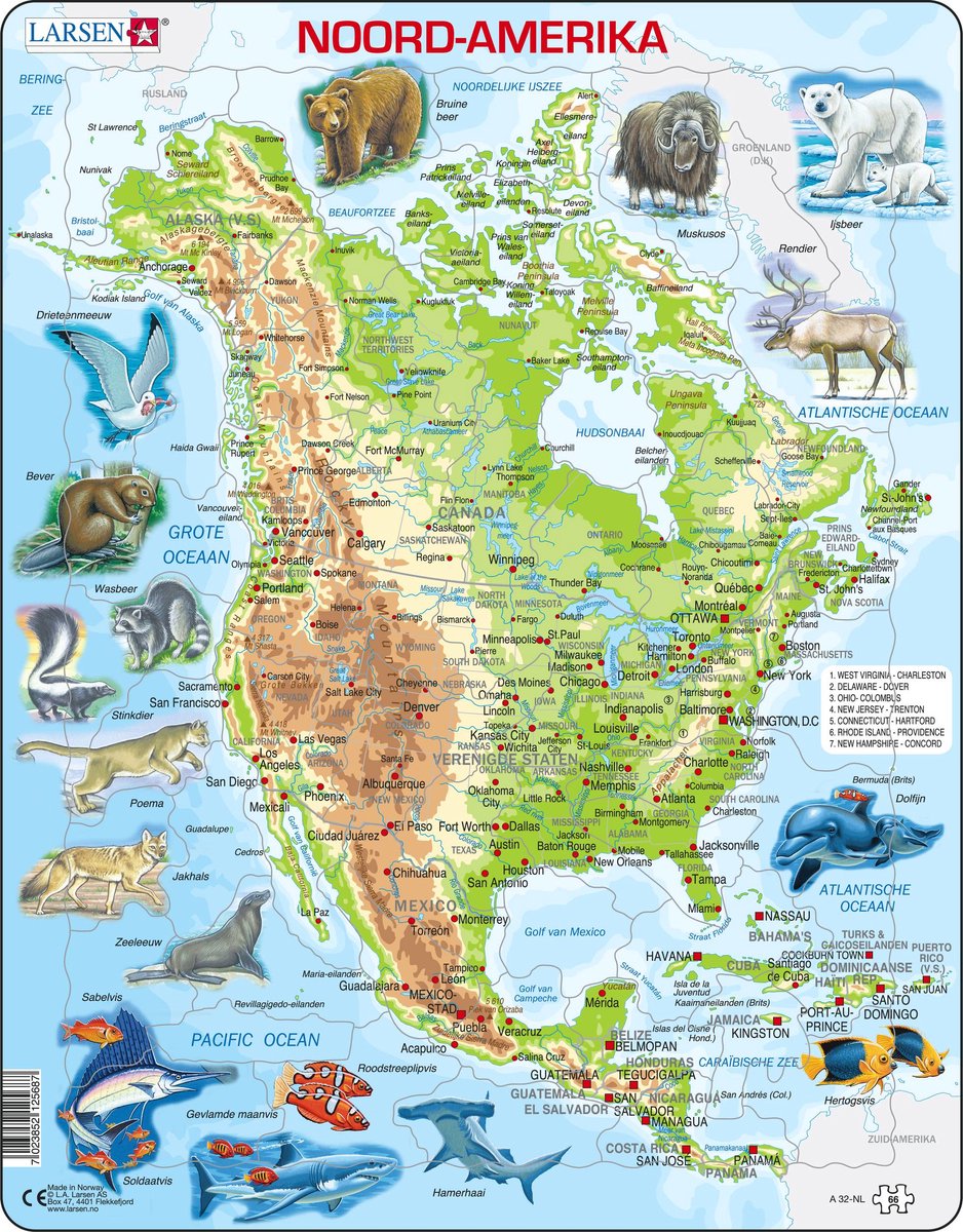 Selecta Larsen Pluzzle Karte Nordamerika Geografisch mit Tieren, 66st.