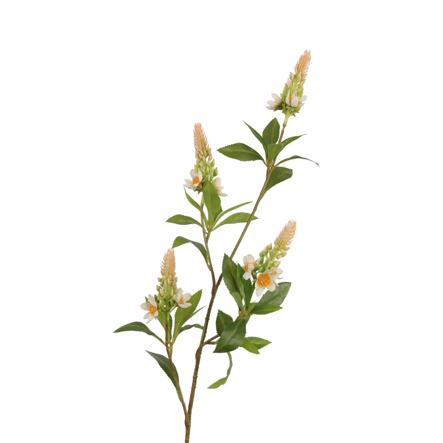 Roberts Collection künstlicher Zweig Pachystachys cremerosa 95 cm