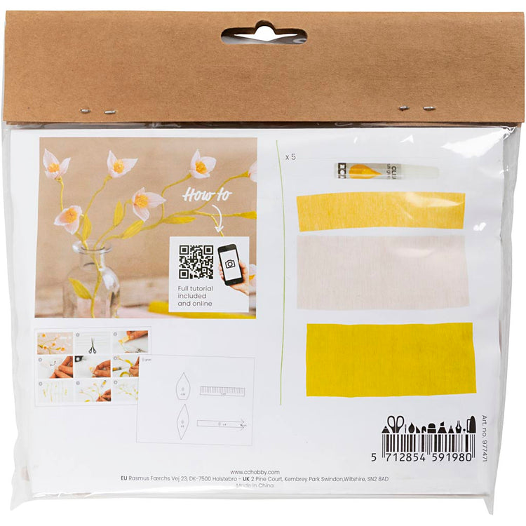 Creativ Company Mini-Hobby-Set Krepppapier, Kirschzweig, Kreppverhältnis: 180 %, 1 Box