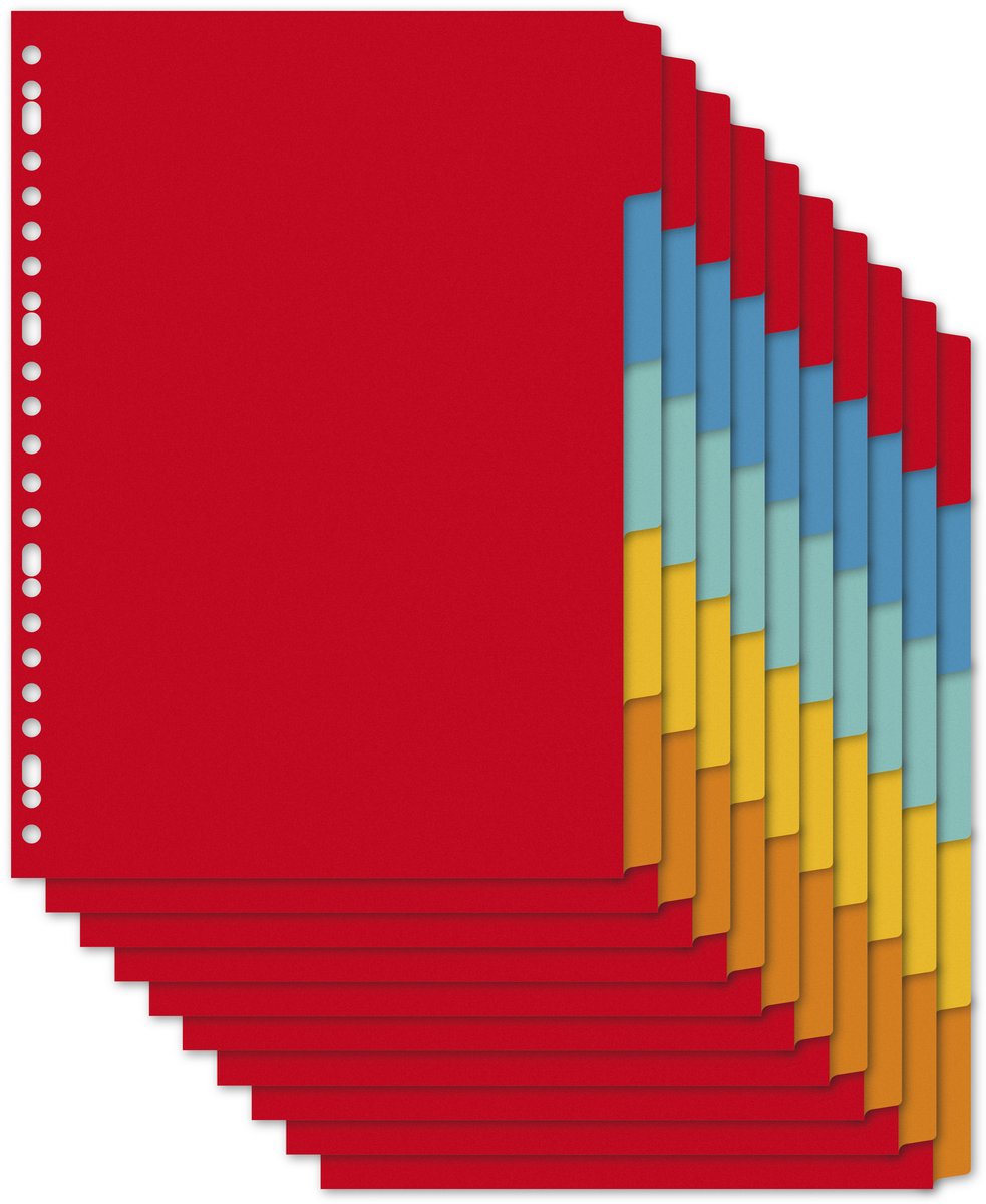 Kangaro-Tabs A4 – 5 Stück – Blanko-Tabs – Karton – schrumpfen a 10 Sets – pe405m-10