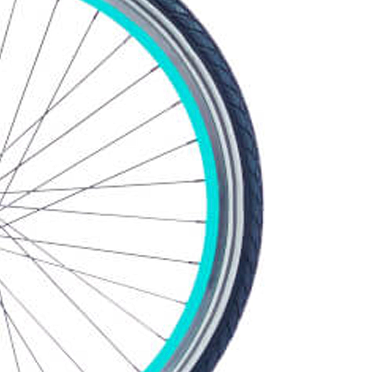 Alpina Velg 24 J19SZ PMS7471 YS7349 SHINY