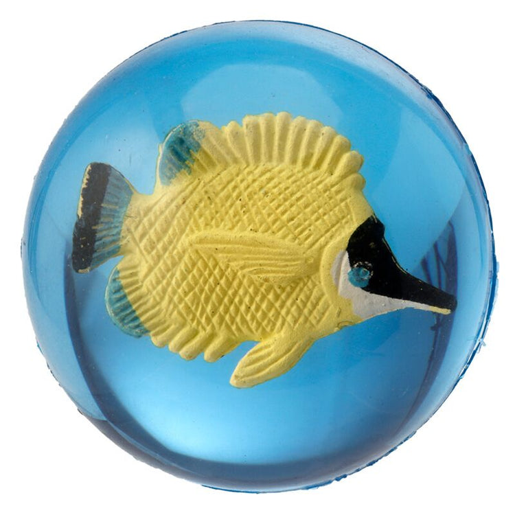 3D Tropical Fish Bouncing Ball klein