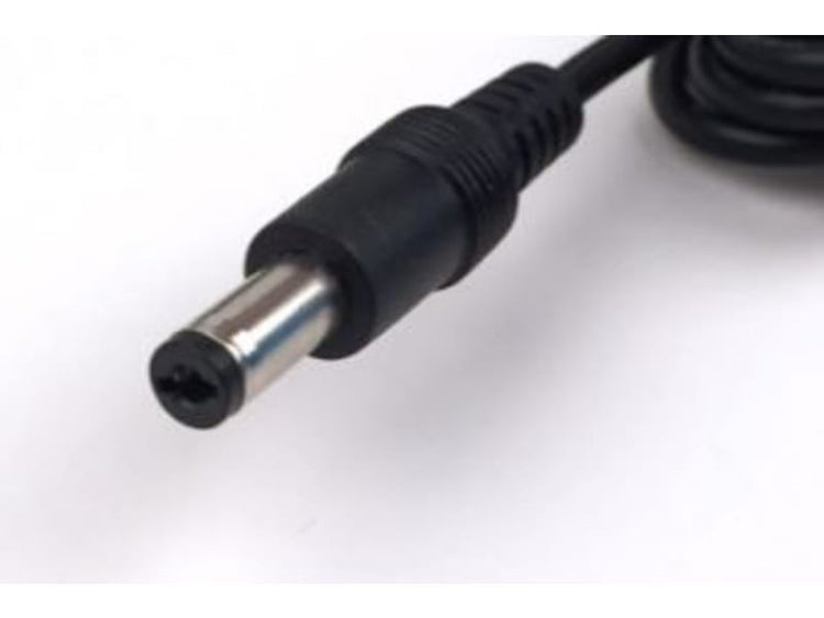 Batavus Protanium Batterie Ladegerät 29V 2a 2.1 Stecker