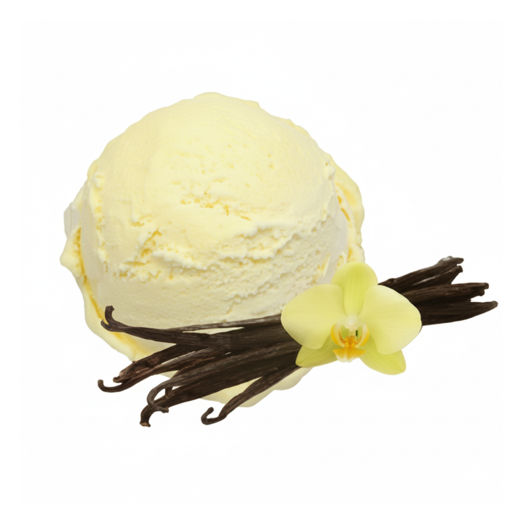 Gelato Fantastico Vanille-Bourbon-Eis (4,7 Liter)