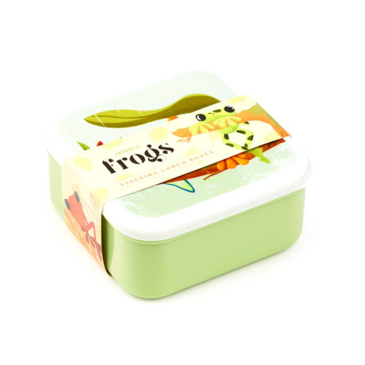 Setzen Sie 3 Brotbox M L XL Tropical Tree Frosch