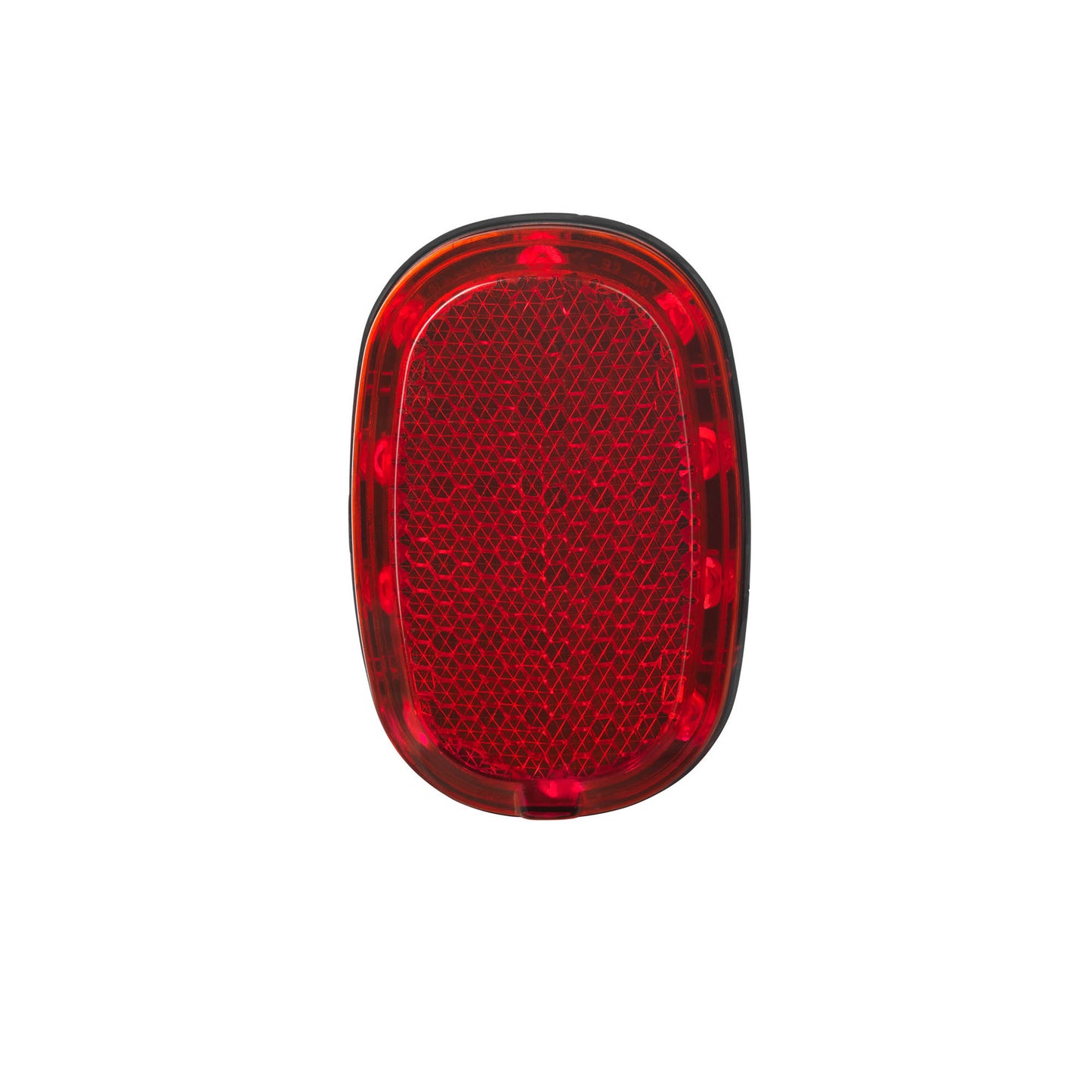 Busch Müller gesegt plus Taillight Dinnamo Fender