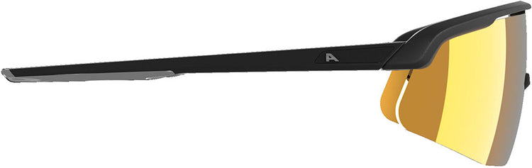 Alpina Turbo Pro Q – Sportbrille