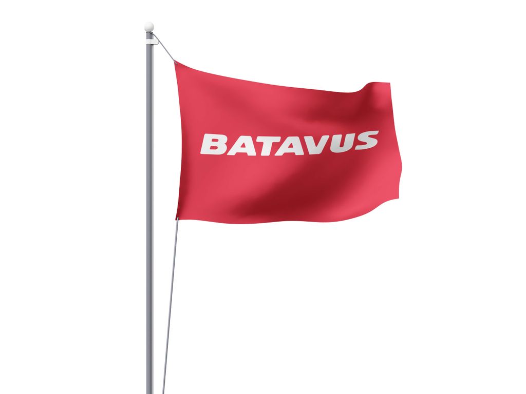 Batavus-Flagge 100x150