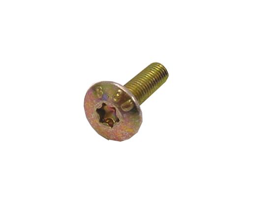 Batavus ANP Schlitzschraube 5x18 Torx DS A 10