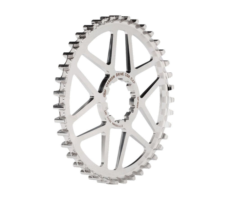 Shimano Back-Tandlee-Gates Carbon Drive CDX 9-Spline