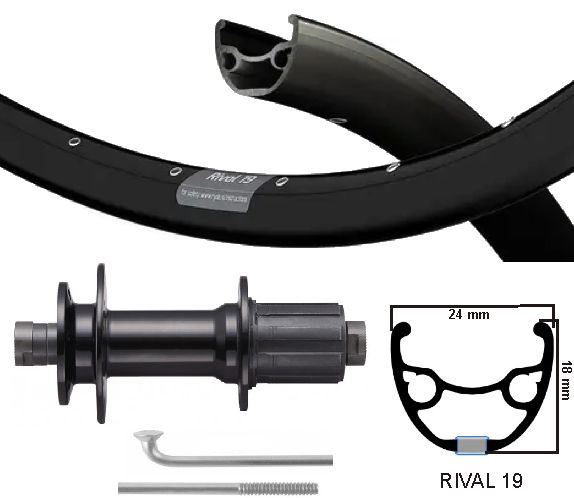KGS Hinterrad 28 Zoll (622) Rivale schwarze Kassettenhöhle Achse 8-10 V Discscheibe