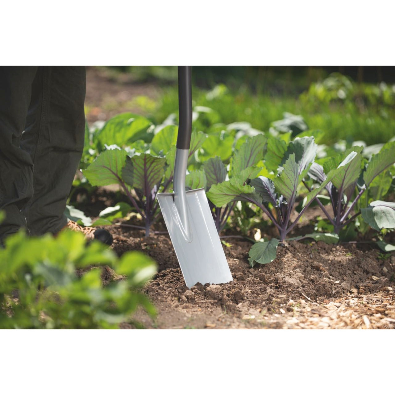 Wolf-Garten Herenspade As-D