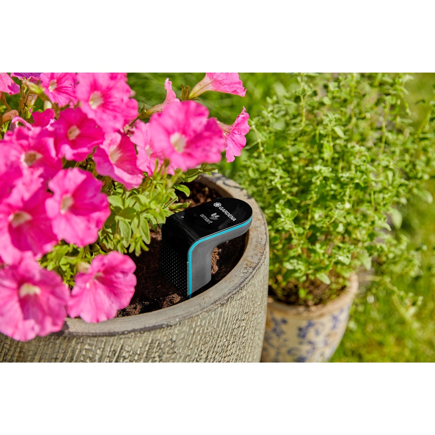 Gartensensor