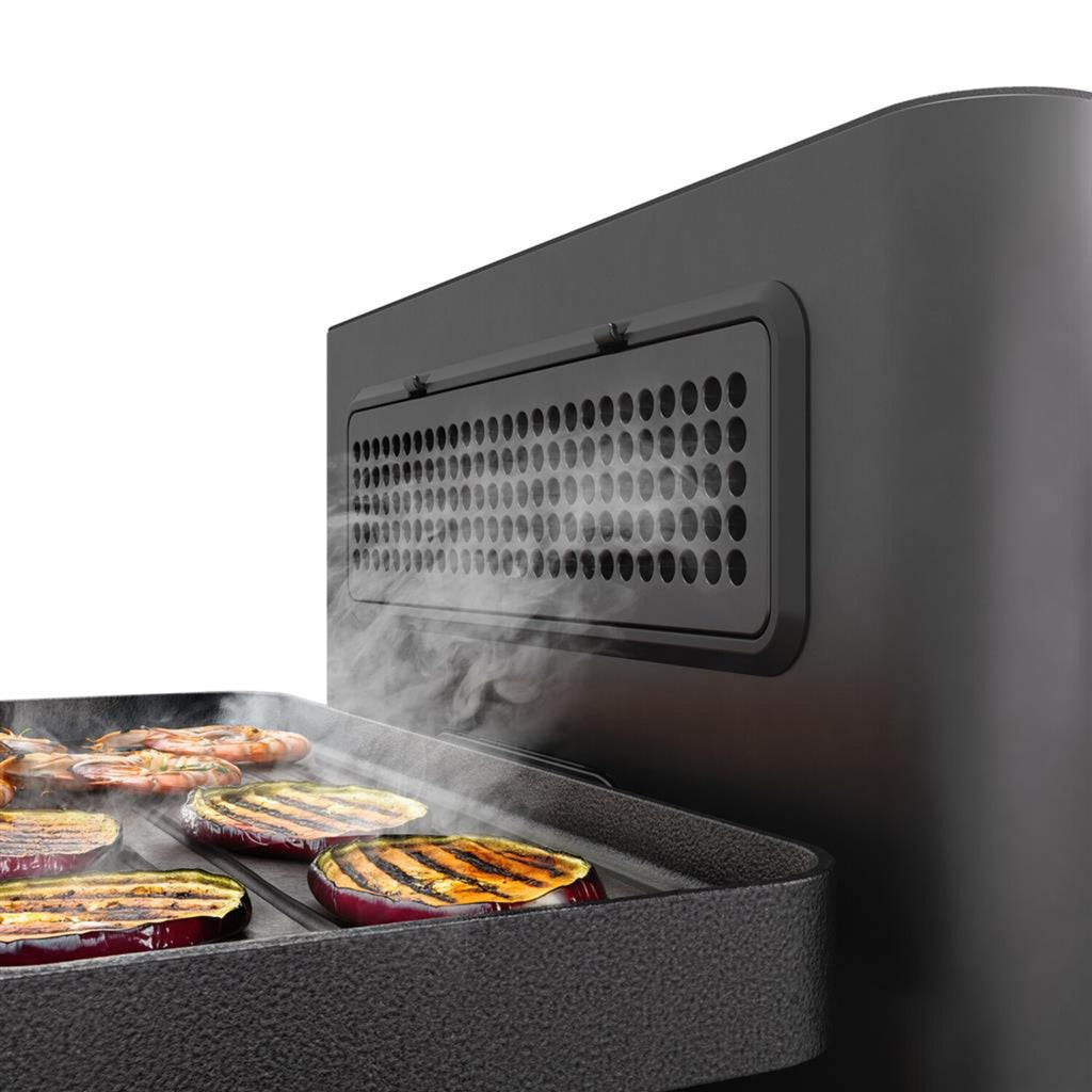 Prinzessin Raclette purify mit Luftreiniger
