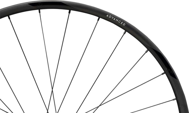 Newmen Advanced SL X.R.25 CL Fade R 29 Hinterrad