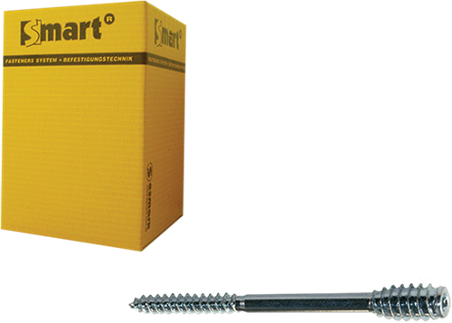 Pgb-europa smart | Distanzschraube T-Antrieb T25 ø 6x300 Zn | 25 Stück sm0ssc0010603003