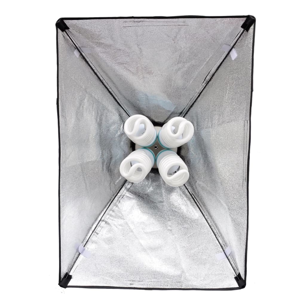 Vidaxl Lampstative 2 STs mit Softbox