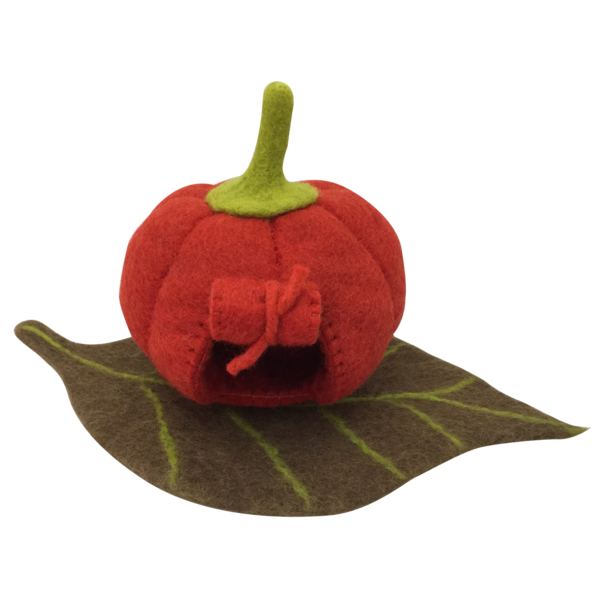 Papoose Toys Fairy Kürbishaus und Matte