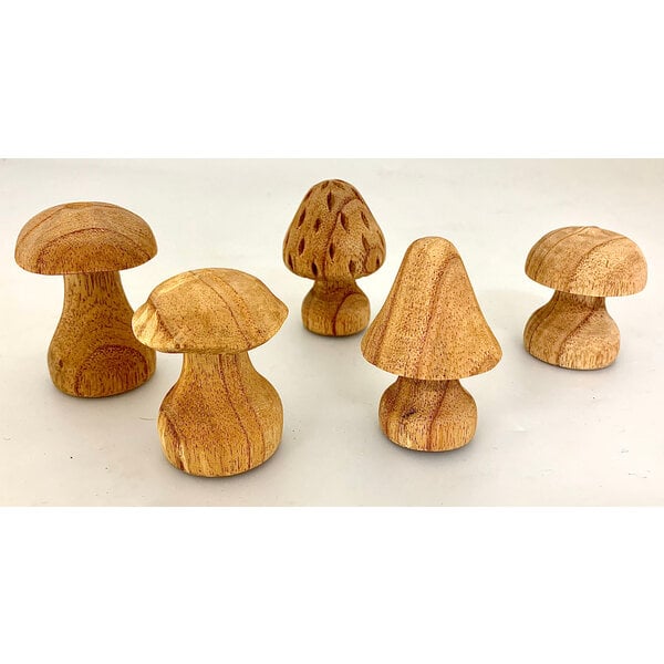 Papoose Toys Pilze handgeschnitzt 5pc