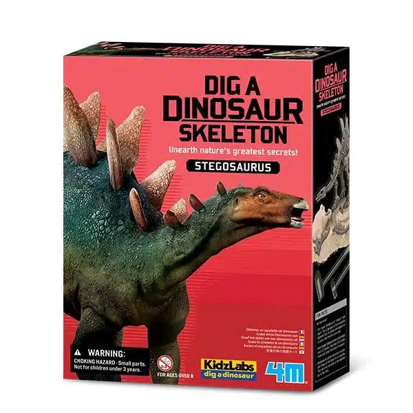 4m KidzLabs aus dem Stegosaurus ausreicht