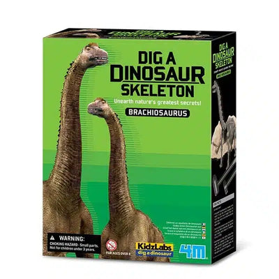 4m KidzLabs Ausgrabungsbrachiosaurus