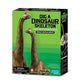 4m KidzLabs Ausgrabungsbrachiosaurus