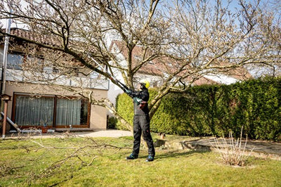 Metabo-Pruner-Anhang Mon-MS 25
