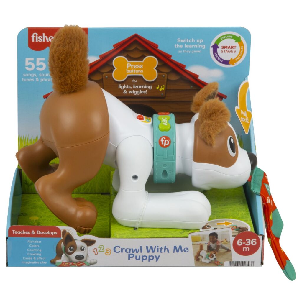 Fisher Price kriechen mit mir Welpe + Licht und Klang