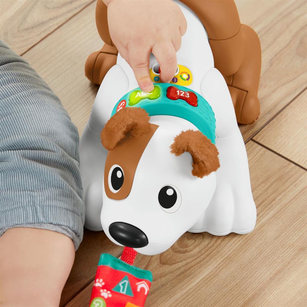 Fisher Price kriechen mit mir Welpe + Licht und Klang
