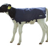 Wadenpolster Easywear blau 70cm