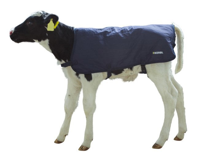 Wadenpolster Easywear blau 70cm