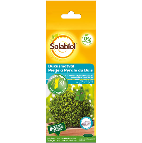 Solabiol Pheromonfalle Buchsbaumzünsler 5 Stk