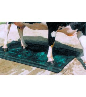 Produkte Hufmatte Huf 180 x 90cm