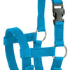 Alpaka-Halfter blau 2