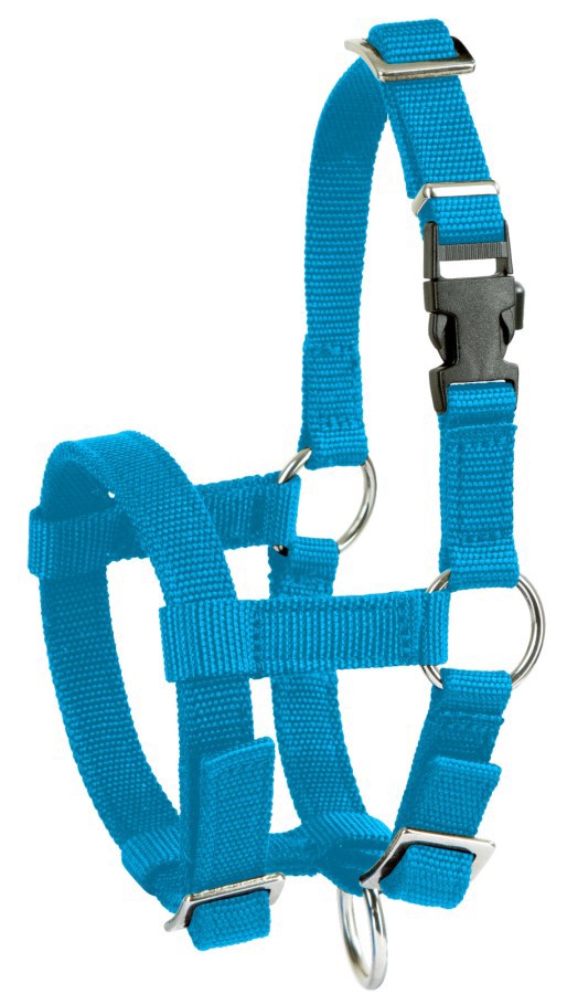 Alpaka-Halfter blau 2
