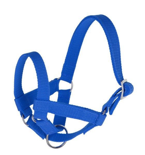 Lamahalfter blau gr 60