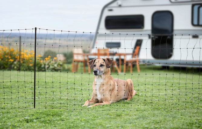 Ako Campingnetz 20 Meter 80cm grüner Doppelstift