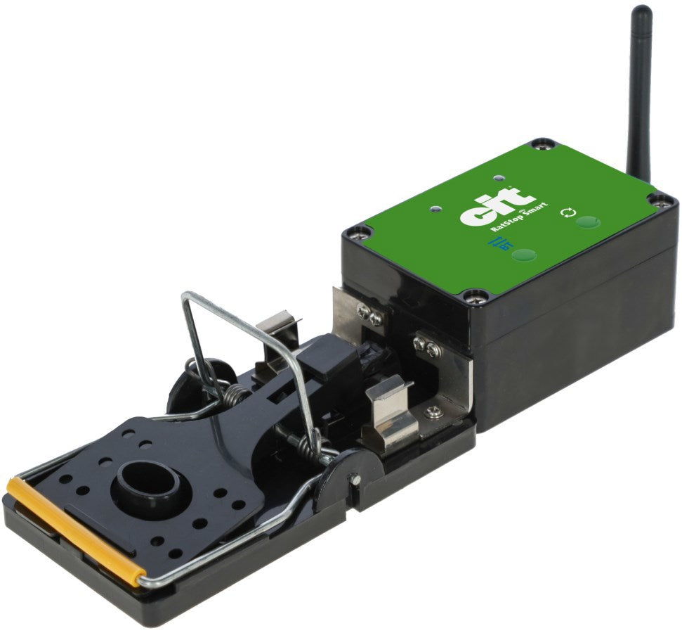 Rattenfalle Smart Cit Ratstop