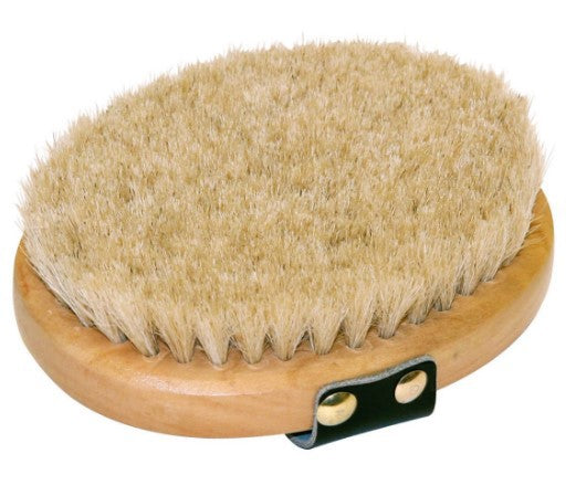 Verwöhnbürste oval mit Holzrücken, Pferdehaarbürsteco