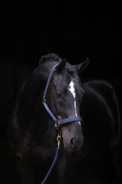 Topline Halfter blau 1 Pony