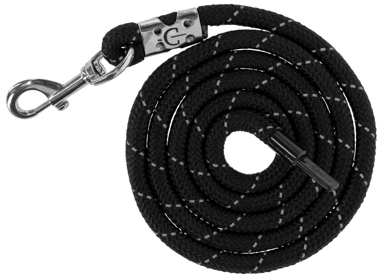 Reflektierender schwarz-silberner Karabiner für den Führstrick