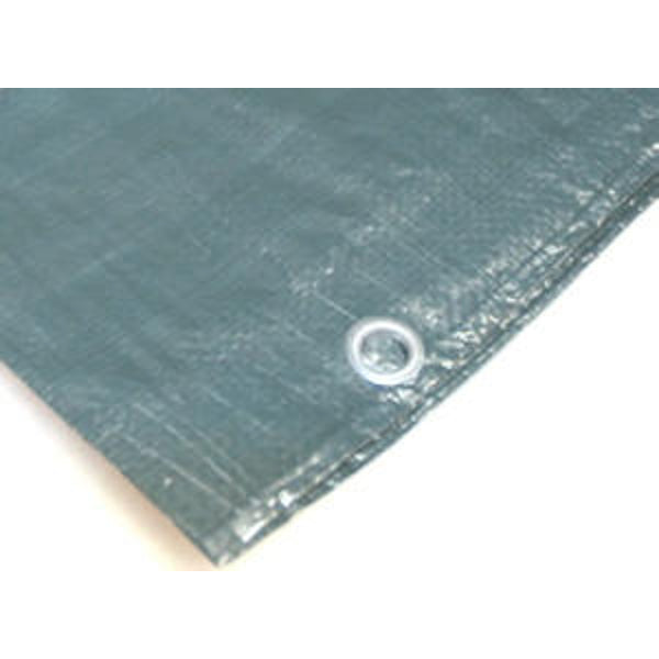 Produkte Plane grün 110gr 10x12m