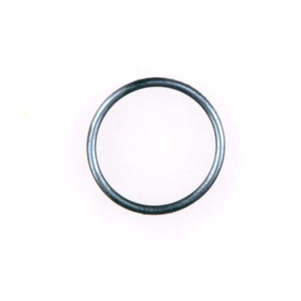 Gloria O-Ring 501540