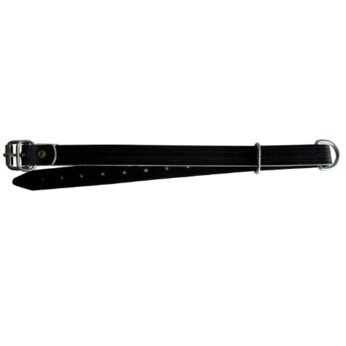 Kopfband, Wadenhalsband, Leder mit Ring